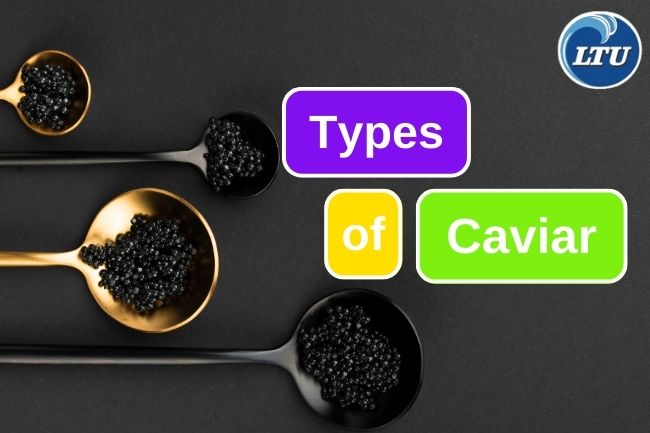 6 Different Caviar from Sturgeon